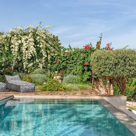 فيلة Melanthi نِكيانا